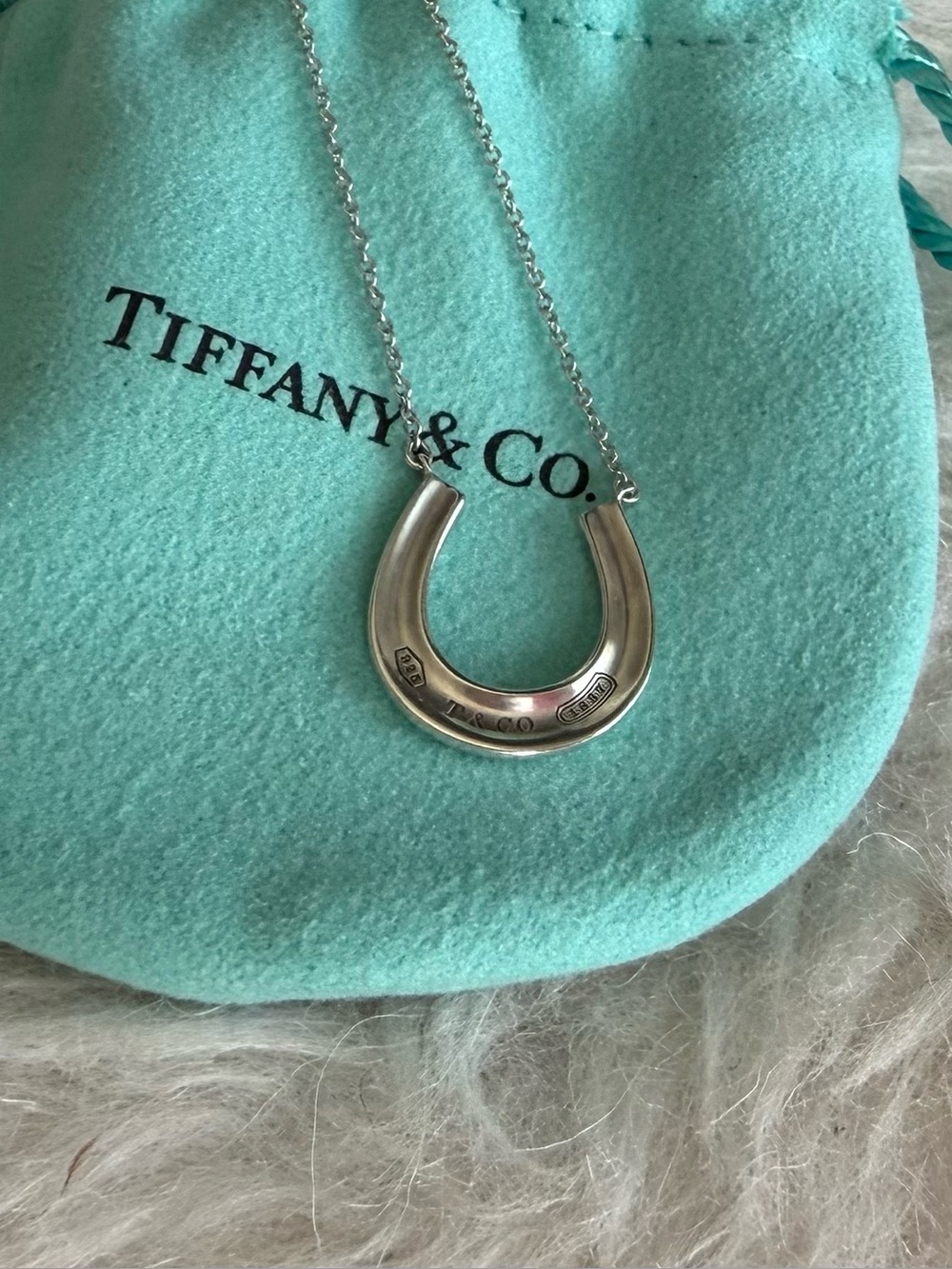 Tiffany and Co. Silver Horseshoe Necklace